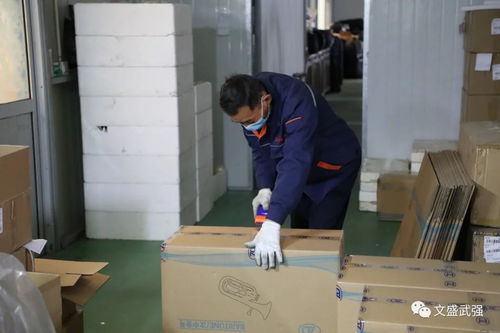 武强新春企业开工忙，铆足干劲冲刺开门红——乐器产业奏响奋进强音